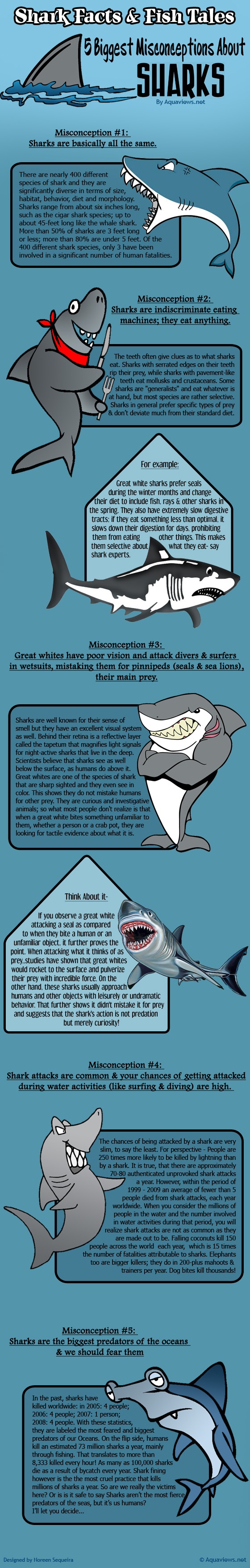 5 Biggest Misconceptions About Sharks