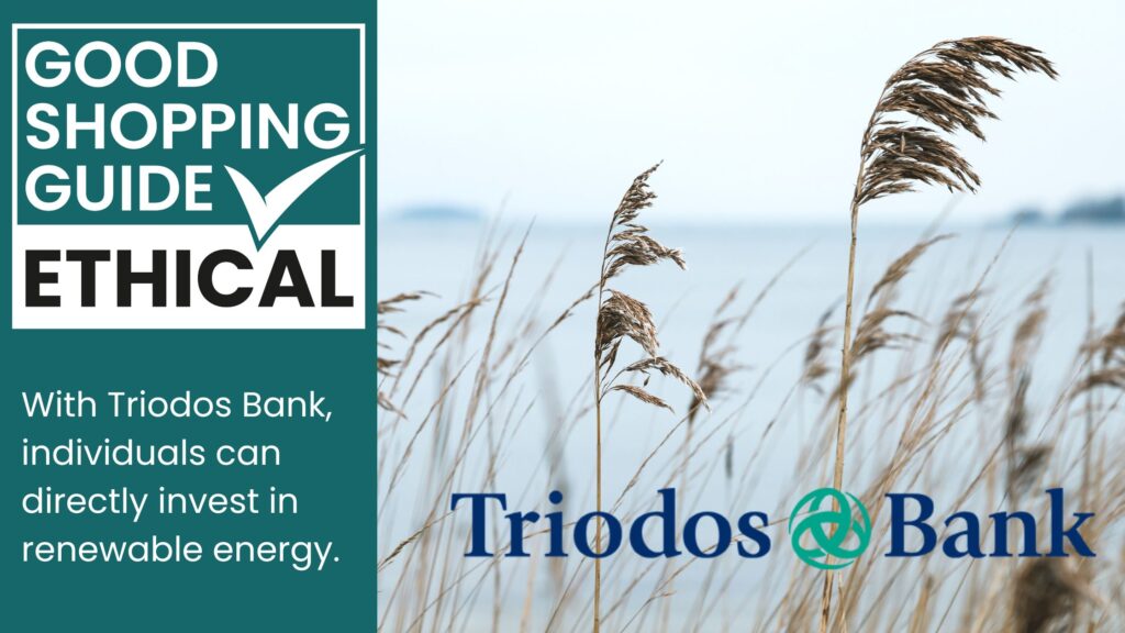 Need An Ethical Bank? Triodos Bank Has You Covered